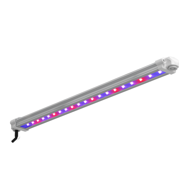 LUMii Black LED-Leiste 30W UV/FR