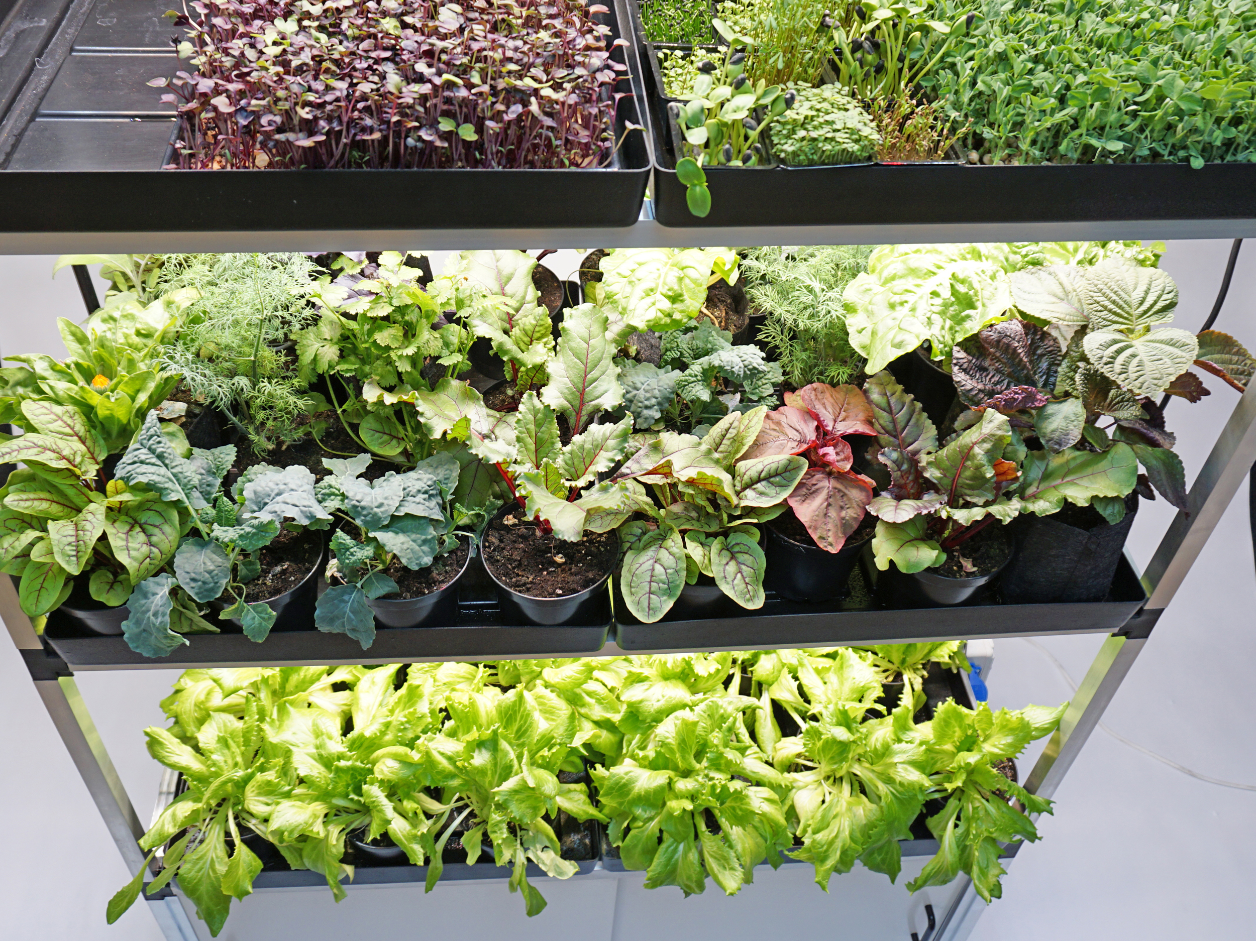 G-Tools Kitchenfarm XL Details 4