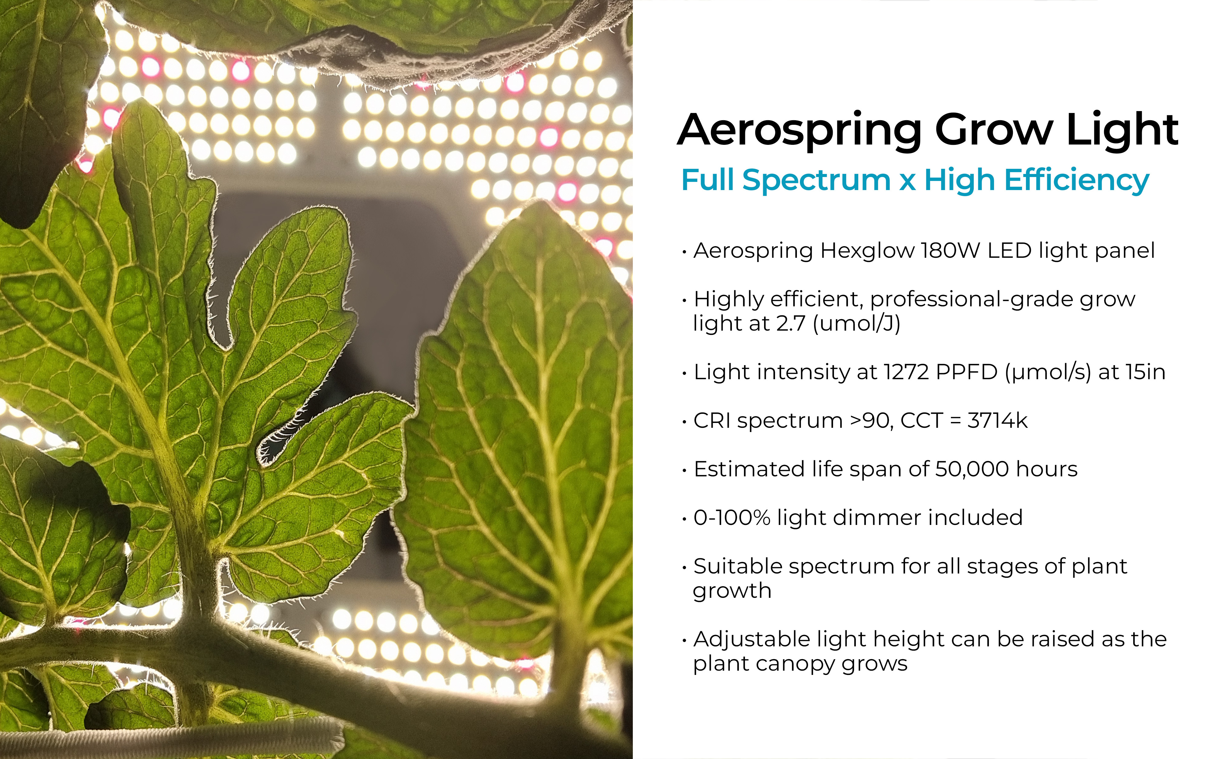Aerospring Hydroponics Garden Indoor (Outdoor) Tower Grower Pro Edition 320W