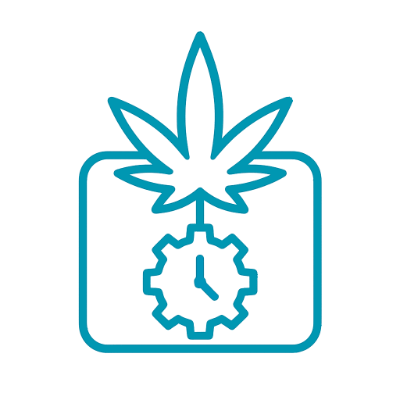 Autoflowering Icon
