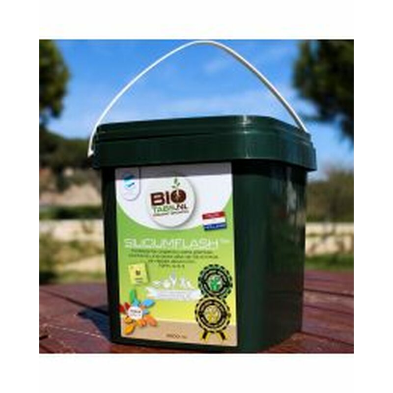 BioTabs Silicium Flash 2500ml (1500g)