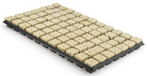 Grodan Anzuchtmatte mit Plastikuntersatz 1Kt mit 18 Stk je 77Würfel Details 2