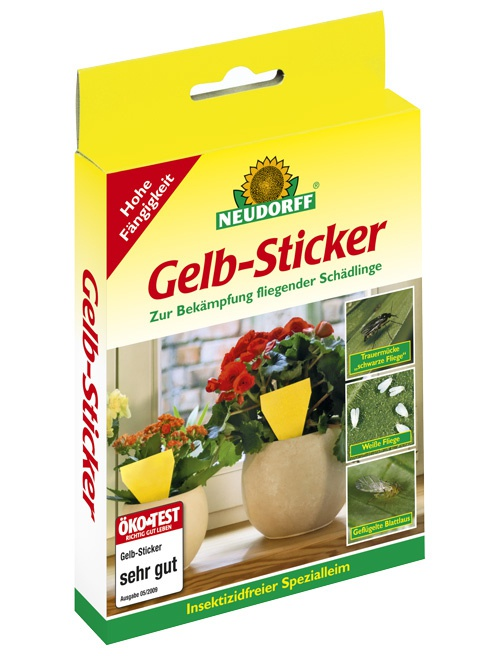 Gelbsticker, 10 Stk.