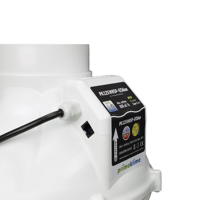 PK125WHSP-ECblue Details 2