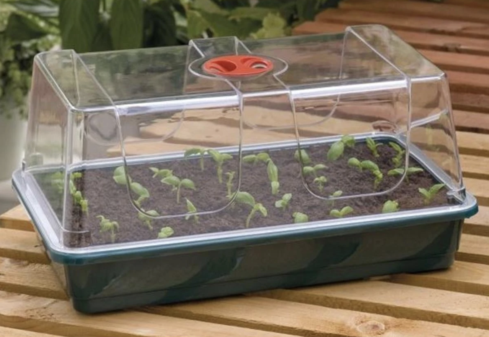 Garland L High Dome Zimmer-Gewächshaus 37x22x18,5cm