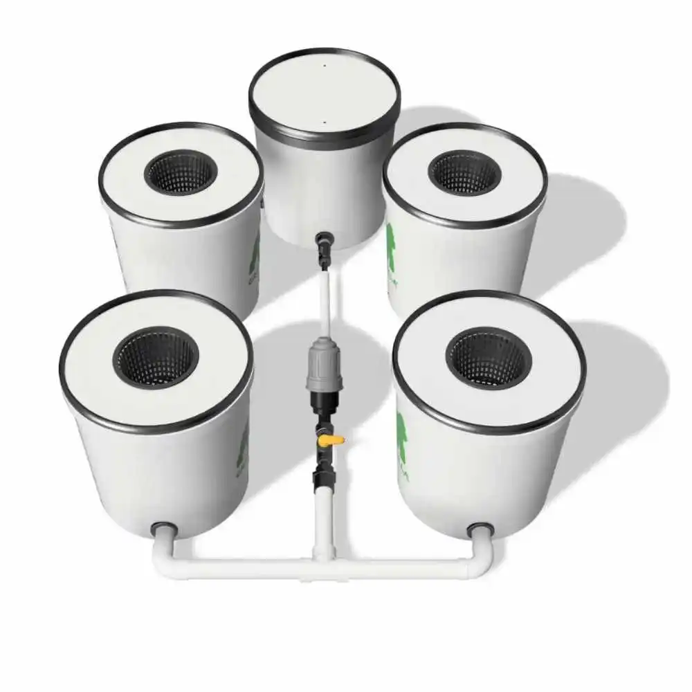 Growrilla RDWC 2.0 _ 4-Topfe 19L von oben