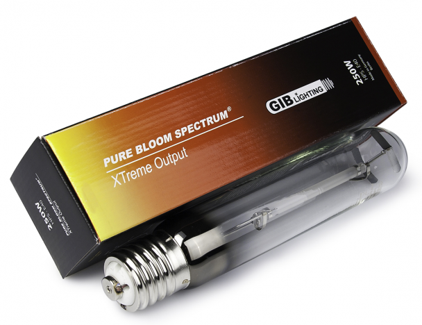 250W GIB Lighting Pure Bloom XTreme Output HPS Blüte