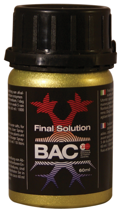 BAC Final Solution 1L