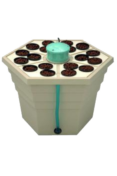 T.A. Rainforest 2 für 18 Pflanzen 3