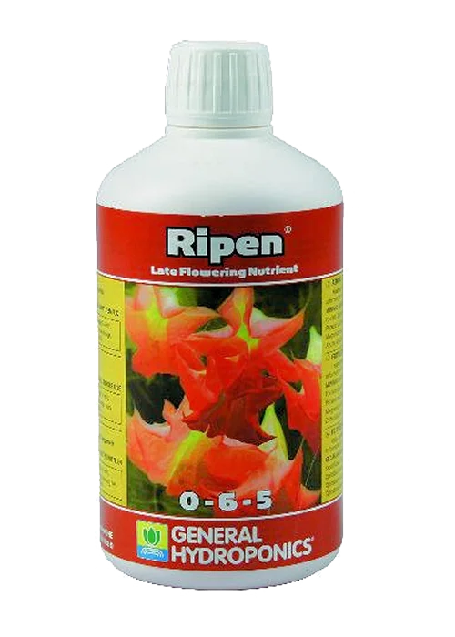 T.A. FinalPart 0,5L