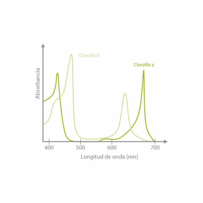 LUMii Black LED-Leuchte 720W 