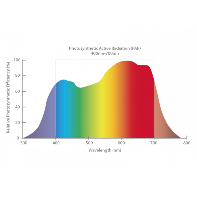 LUMii Black LED-Leuchte 720W 