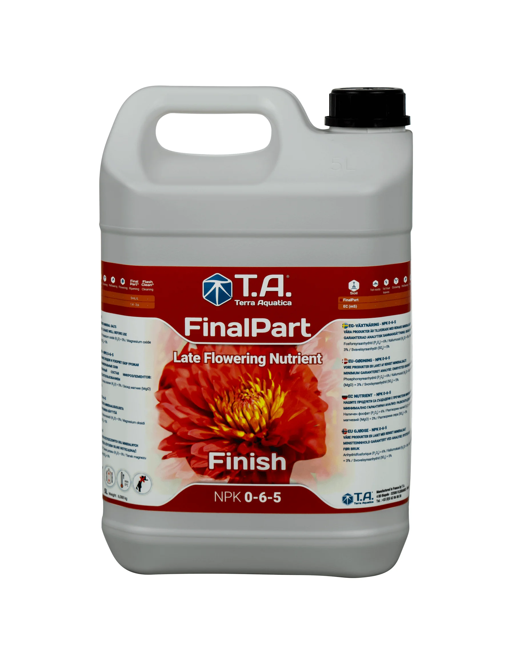 T.A. FinalPart 5L