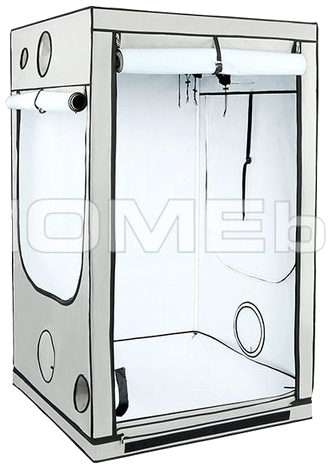 HOMEbox Ambient Q120 PAR+ 1,2x1,2x2m 1,44qm