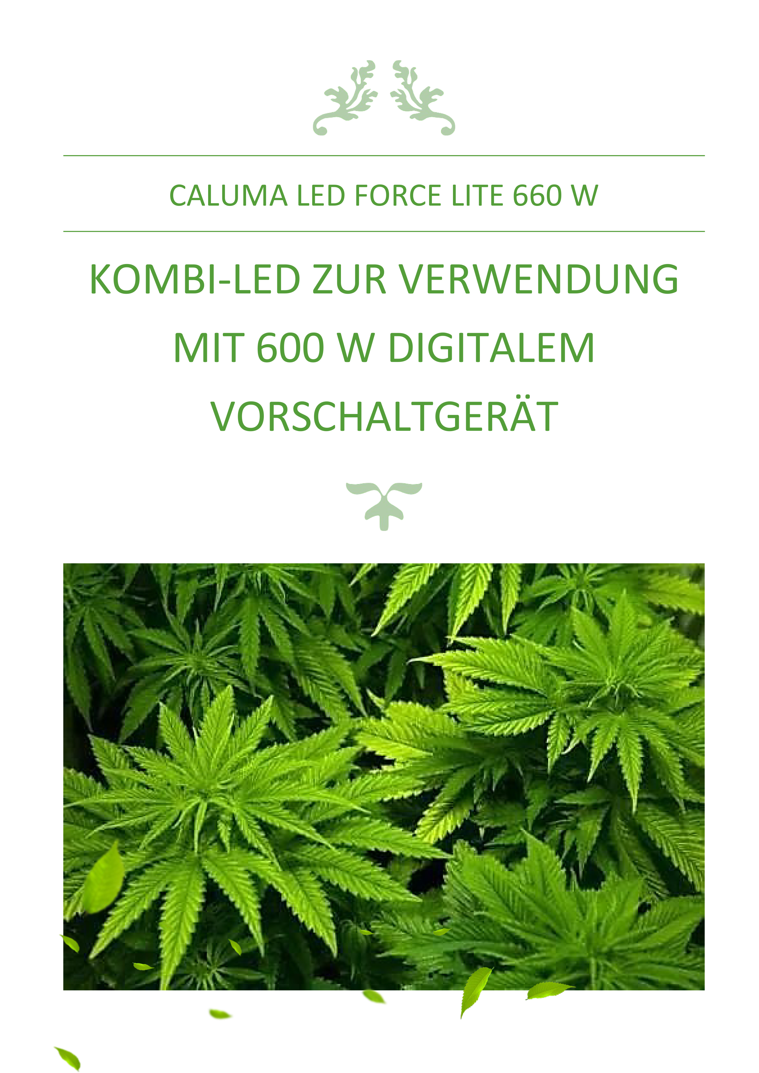 660WCaluma LED Dokumentation 3 Details 1