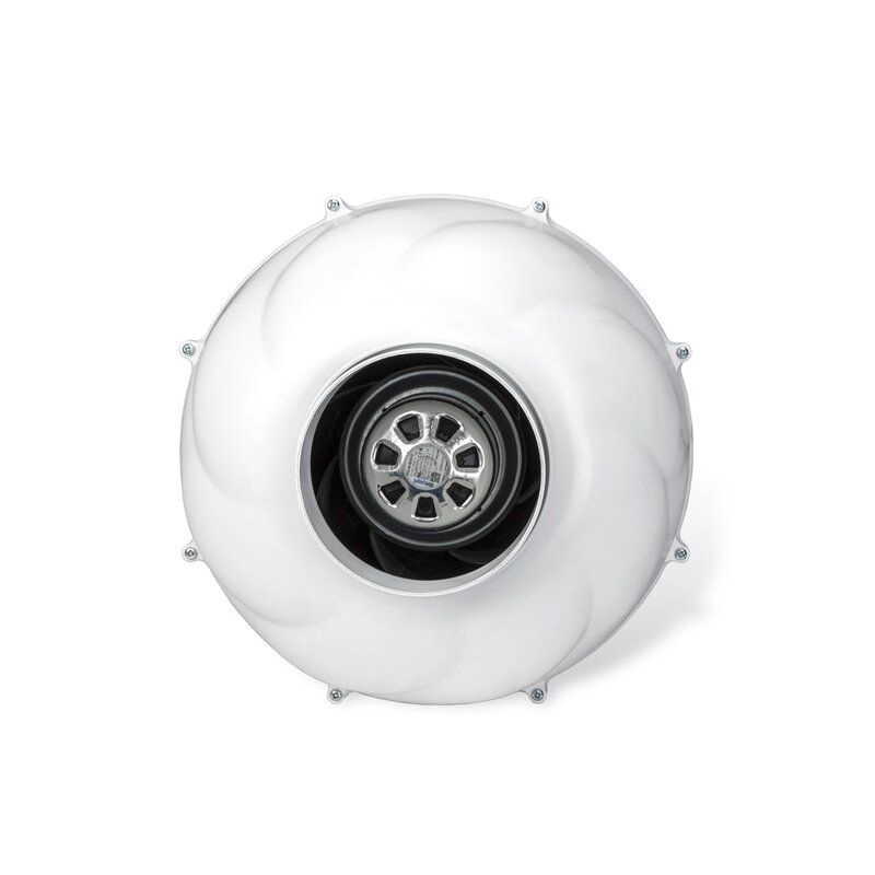 PK125WHSP-ECblue Details 1