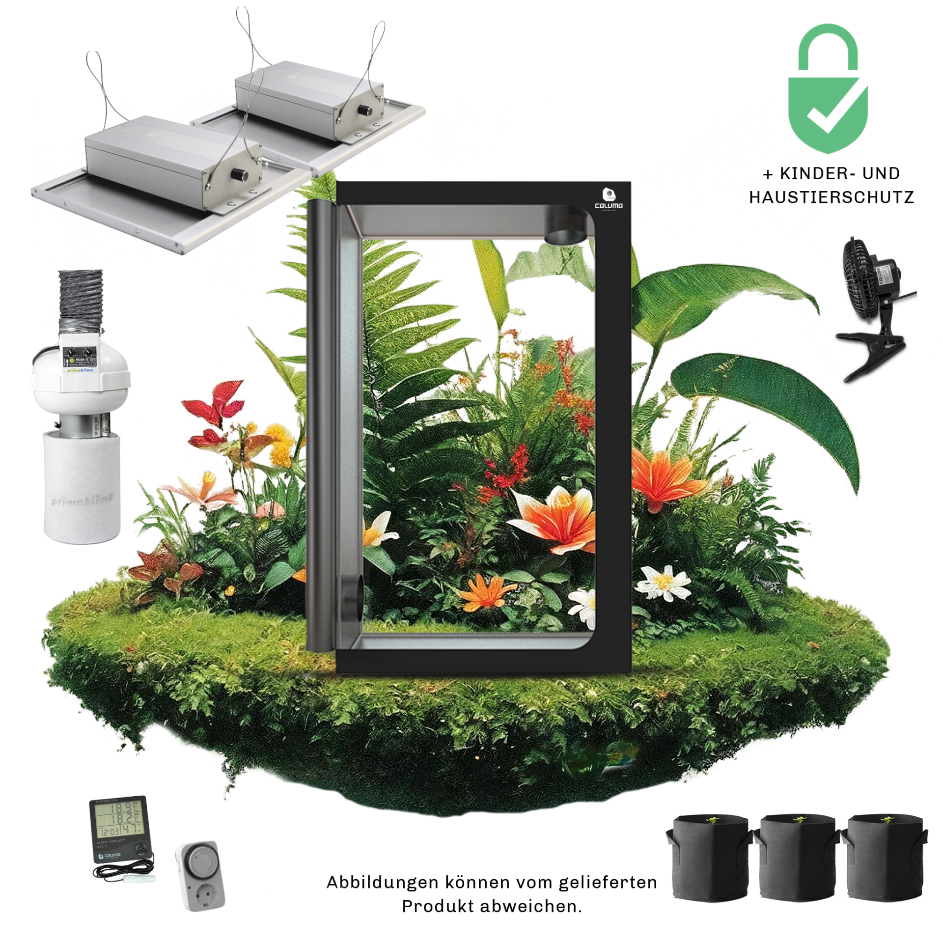 Caluma Set Ambient - 3 Plants Plus Premium