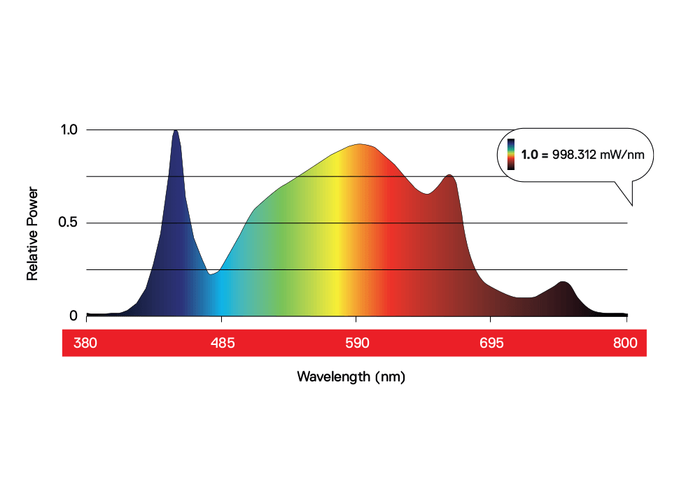 Leistung Maxibright Daylight LED 300W PRO