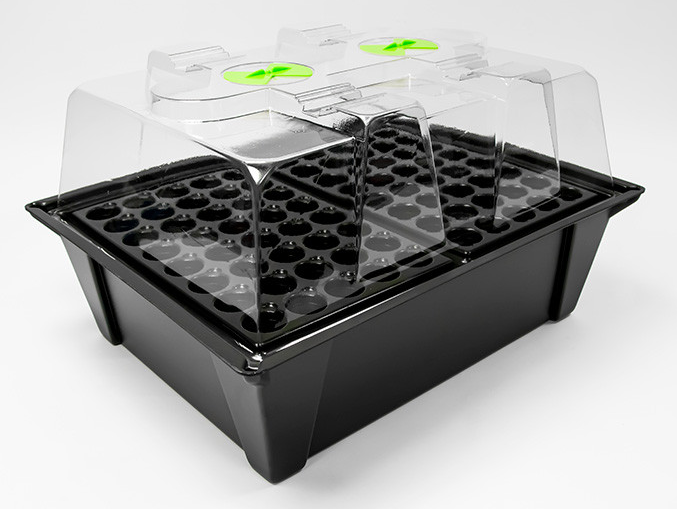 X-Stream 80 Hydro Gewächshaus Propagator