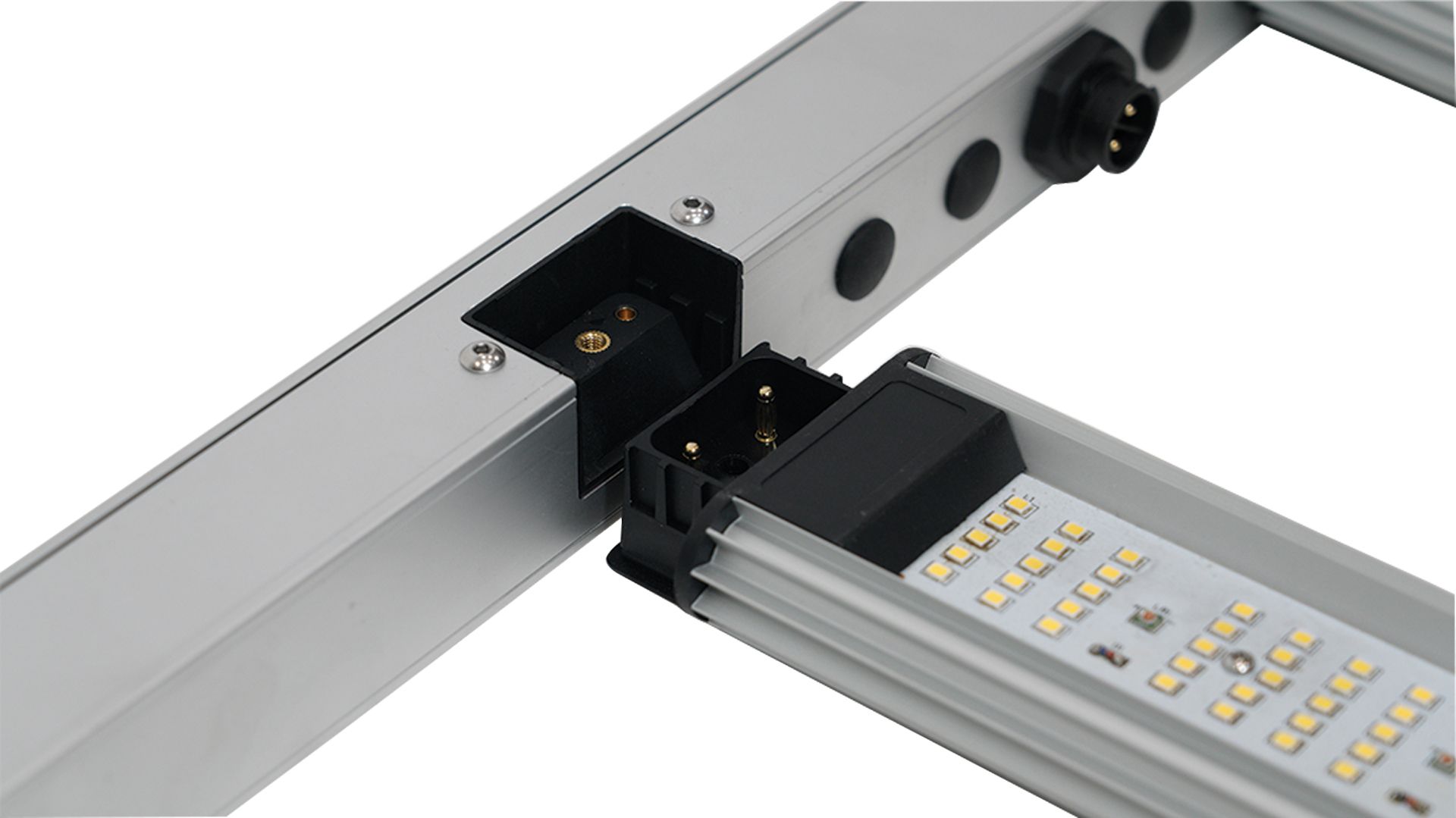 Caluma Force LED Lite 660W Details 4