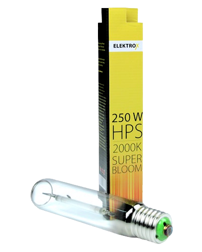 250W Elektrox SUPER BLOOM HPS Blüte Details 1