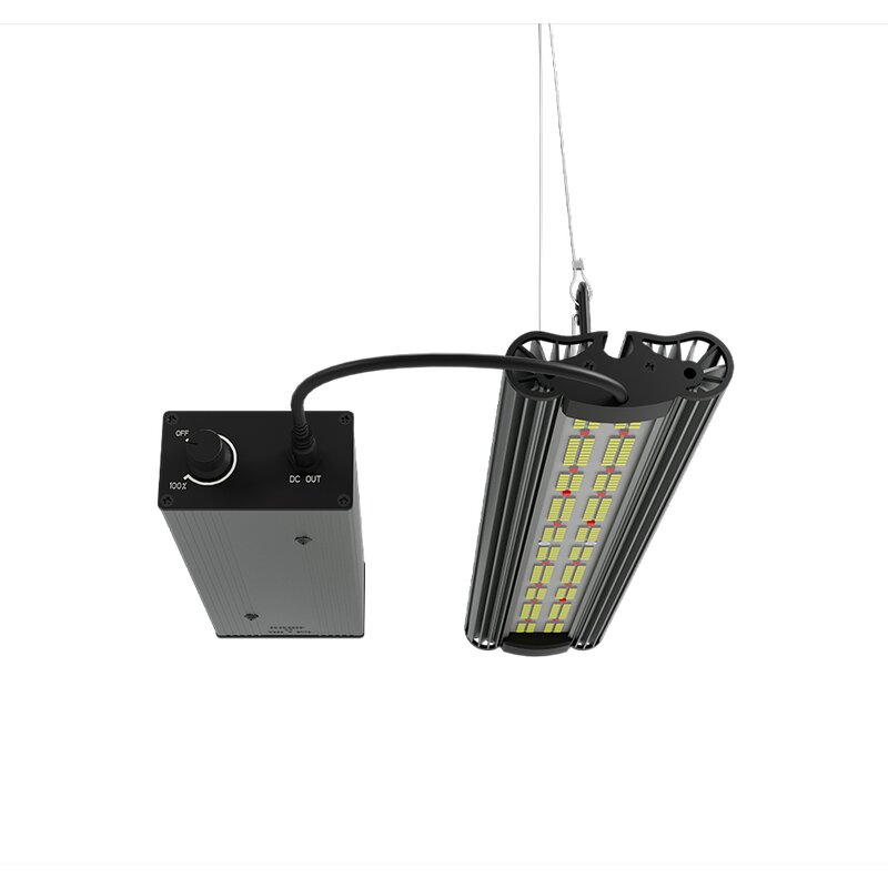 Greenception GCx 2solo PWR 80W Details 3