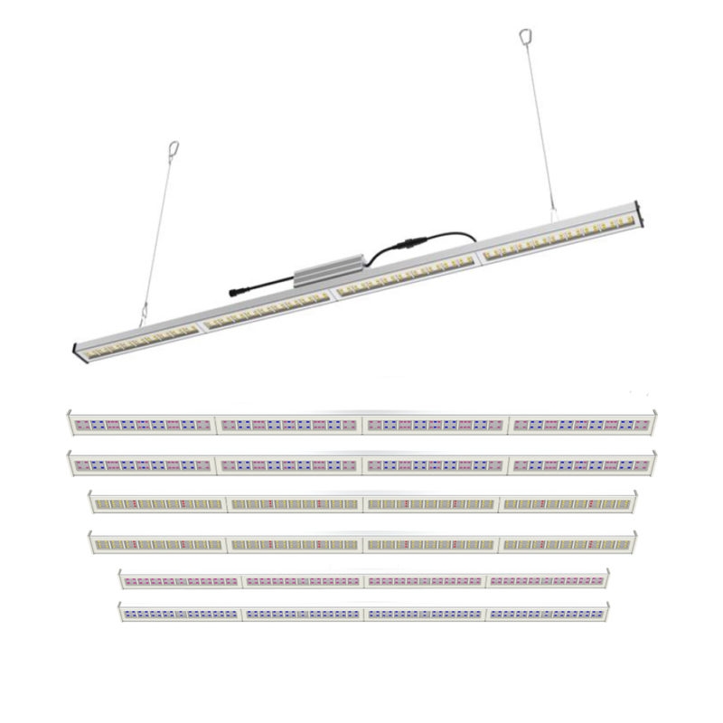 GrowlightSystems Hally SINGLE UV 40W Standalone Einzelbetrieb