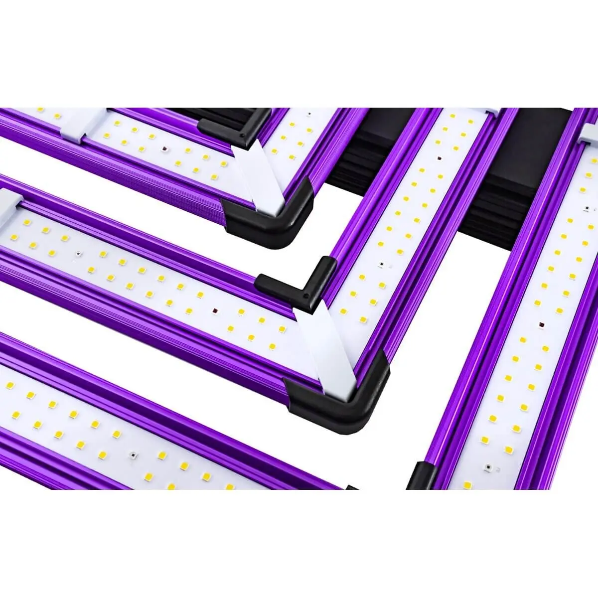 Lumatek ATS 300W Pro Led Details 2