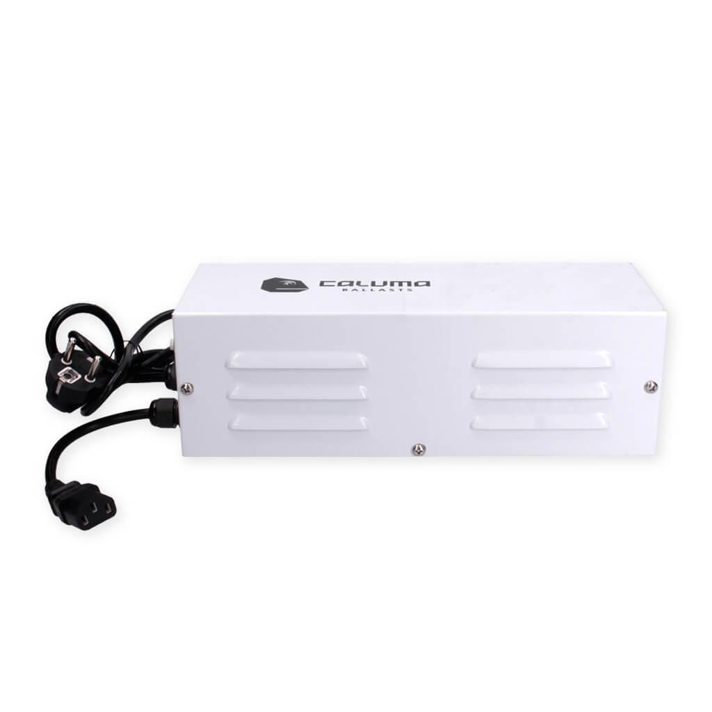 Caluma magnetisches Vorschaltgerät 600W Details 2