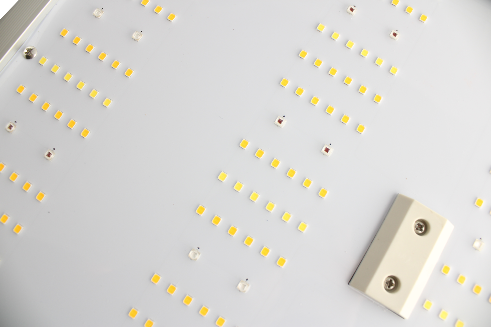 Caluma Force 75W LED 2,7 µmol/J Vollspektrum