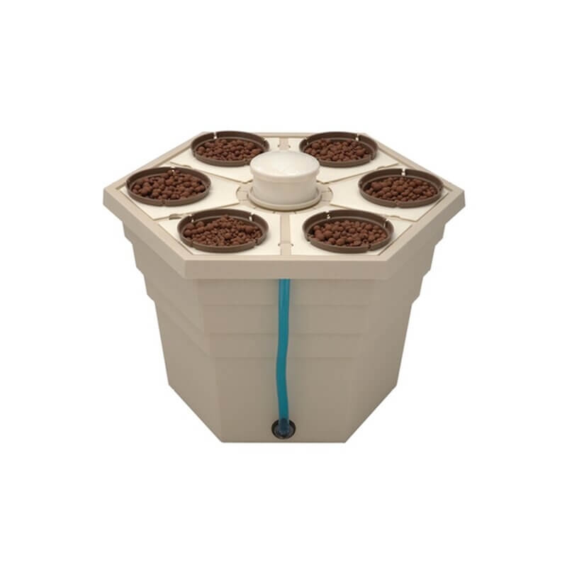 T.A. Rainforest 2 für 6 Pflanzen 6"