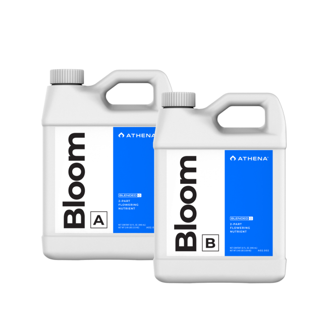 Athena Bloom A + B 946ml