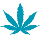 WeedNursery Logo