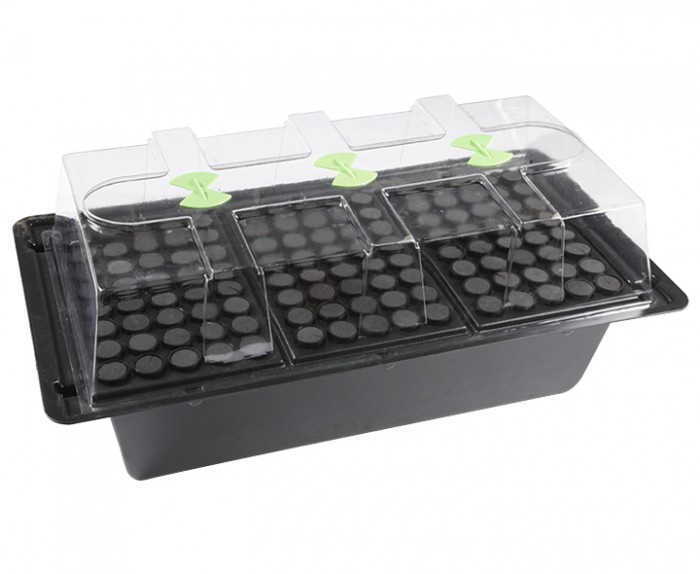 X-Stream 120 Hydro Gewächshaus Propagator