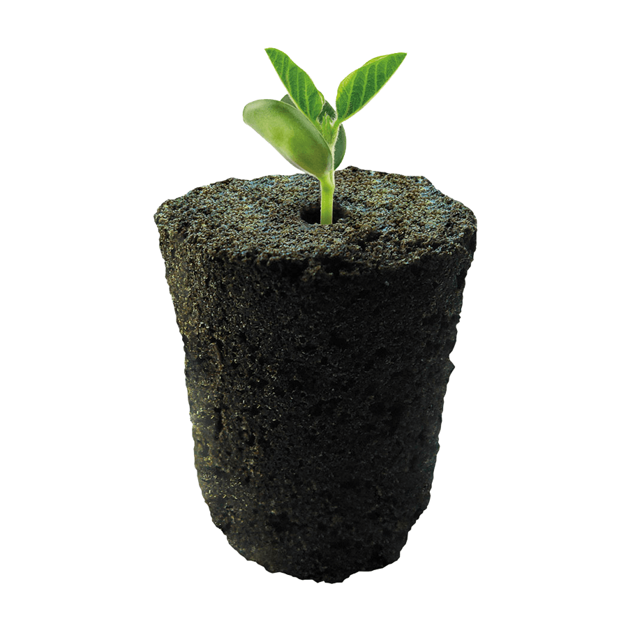 ROOT!T Anzuchtwürfel mit Pflanze in der Hand Details 1