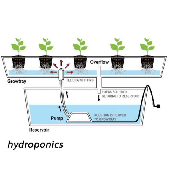 G-Tools Multi Bewässerungssystem für Bonanza und Wing 400 Details 4