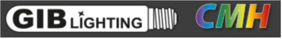 GIB Lighting Vorschaltgerät PRO-CMH 315W Details 1