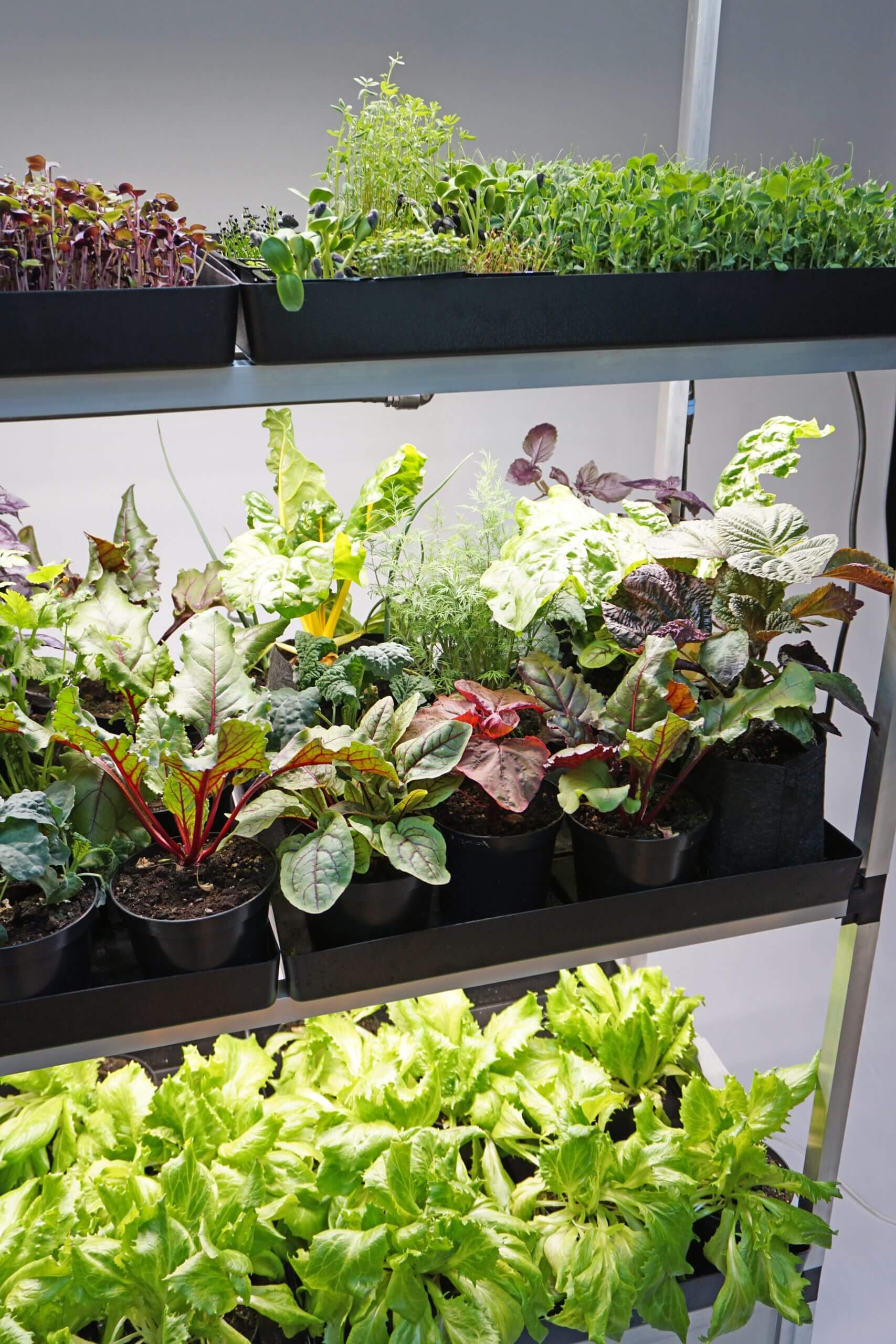 G-Tools Kitchenfarm S Details 1