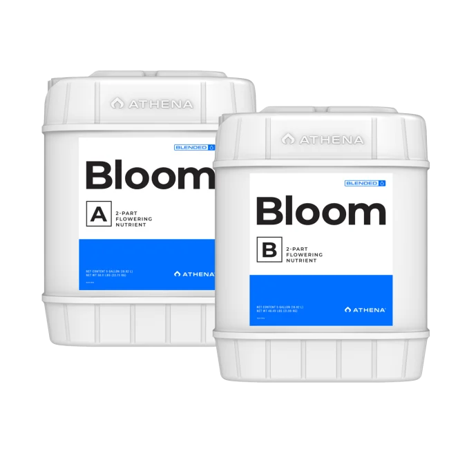 Athena Bloom A + B 18,92L