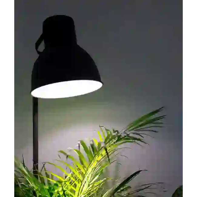 E27 LED 4000K Grow Light 25W Details 4