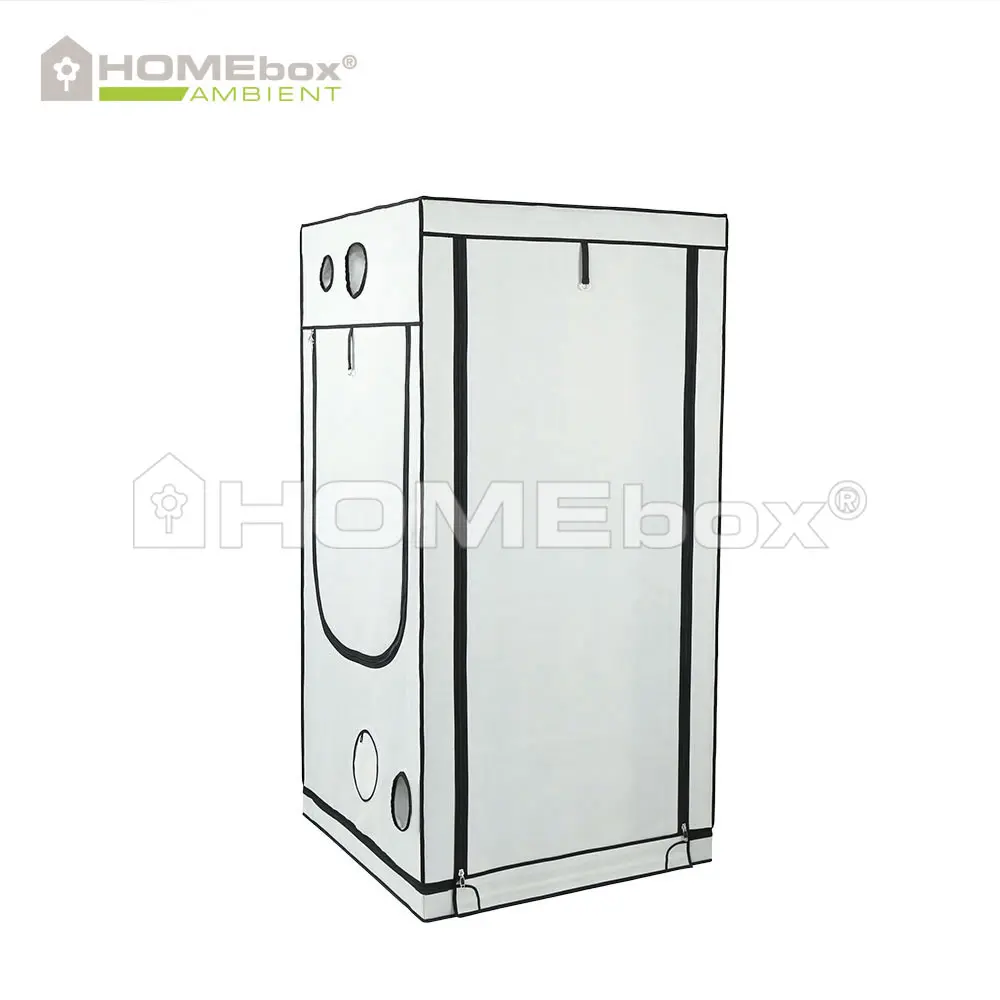 HOMEbox Ambient Q100 3