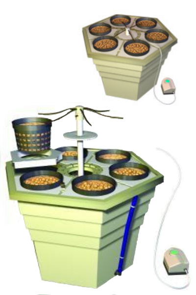 EcoGrower für 6 Pflanzen