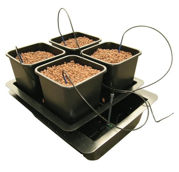 Nutriculture Wilma Small 4 Hydrosystem 4 x 6L 60x60x20cm