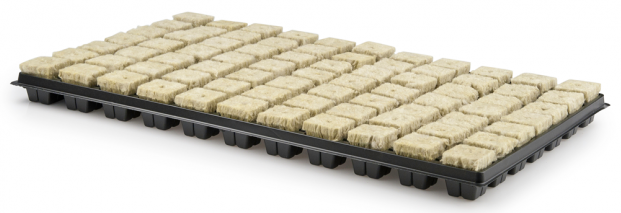 Grodan Anzuchtmatte mit Plastikuntersatz 1Kt mit 18 Stk je 77Würfel Details 3