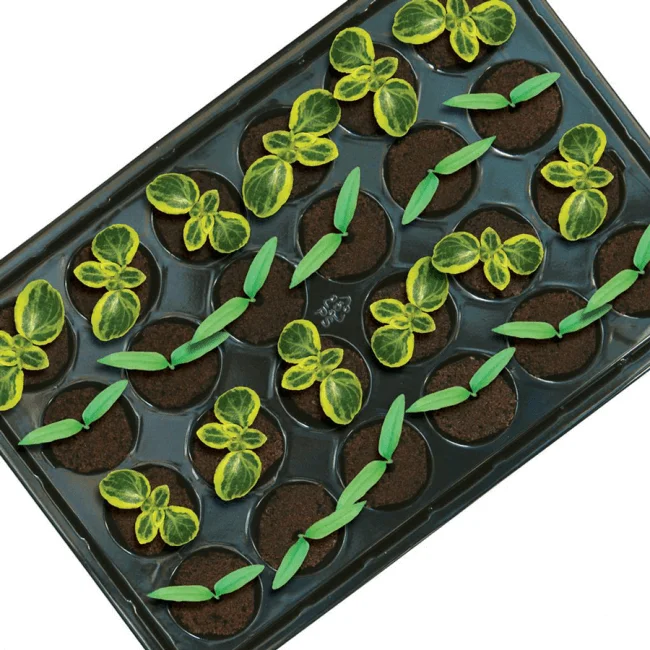 ROOT!T Natural Rooting Sponge 8 Trays a 24 Stk Details 4