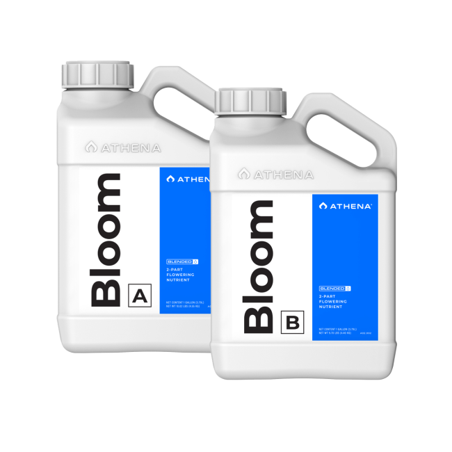 Athena Bloom A + B 3,79L