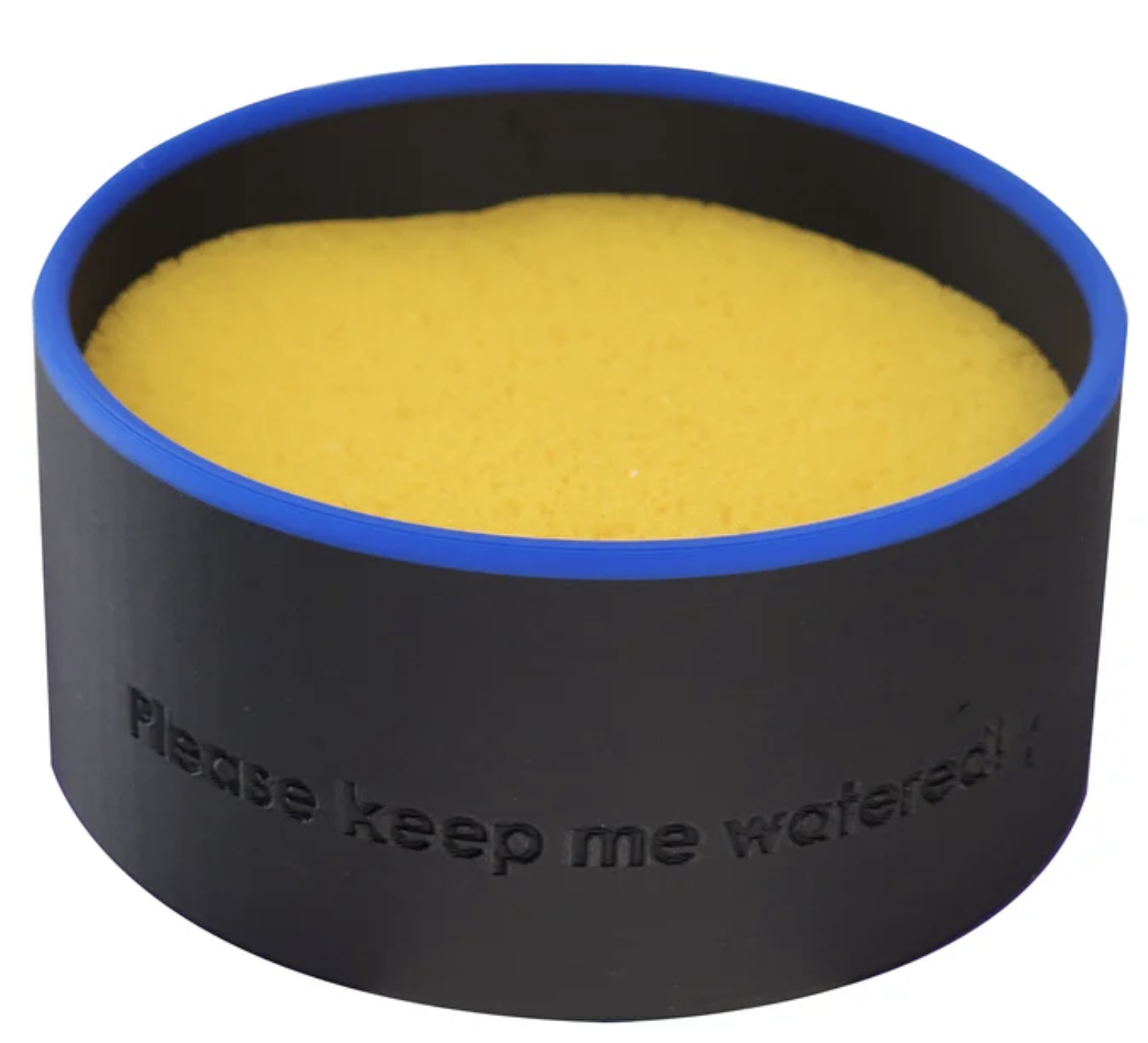 Cannatrol Cool Cure Cup and Sponge