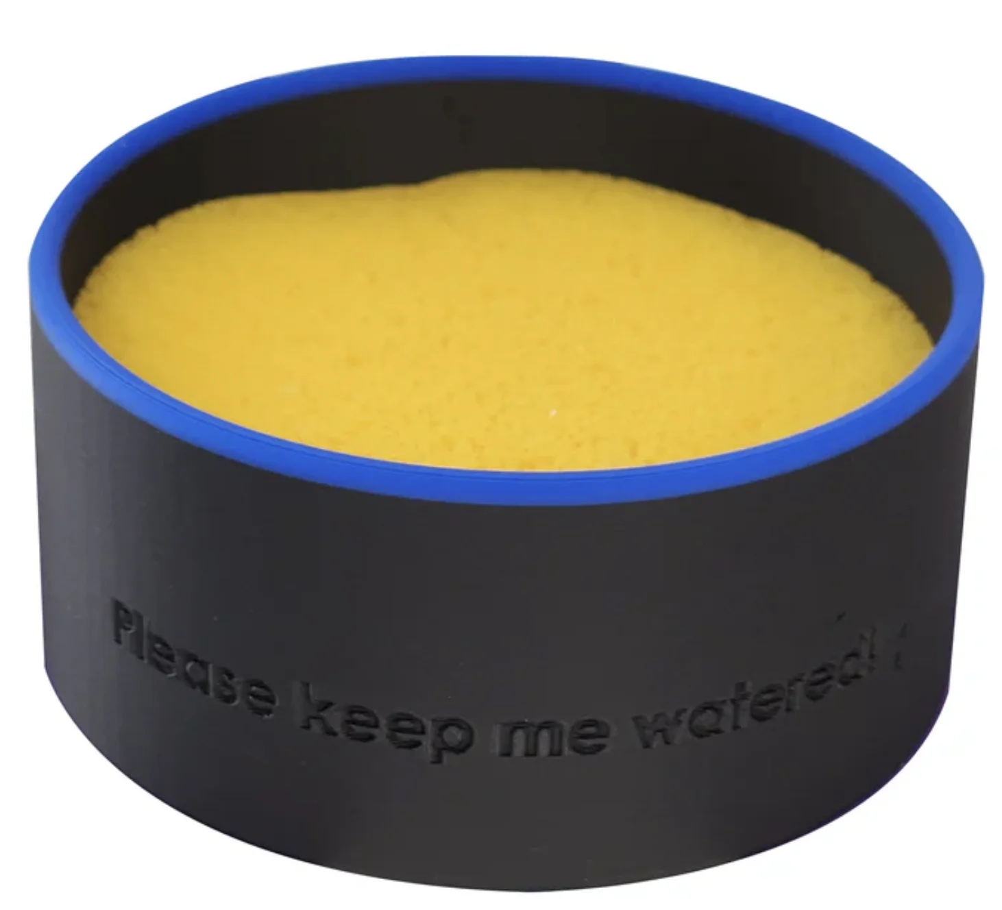 Cannatrol Cool Cure Cup and Sponge