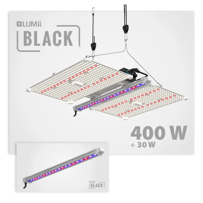 Lumii Black Blade 400W LED und 30W Leiste