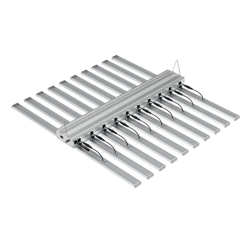 HallyProClassic 10 800W Details 1